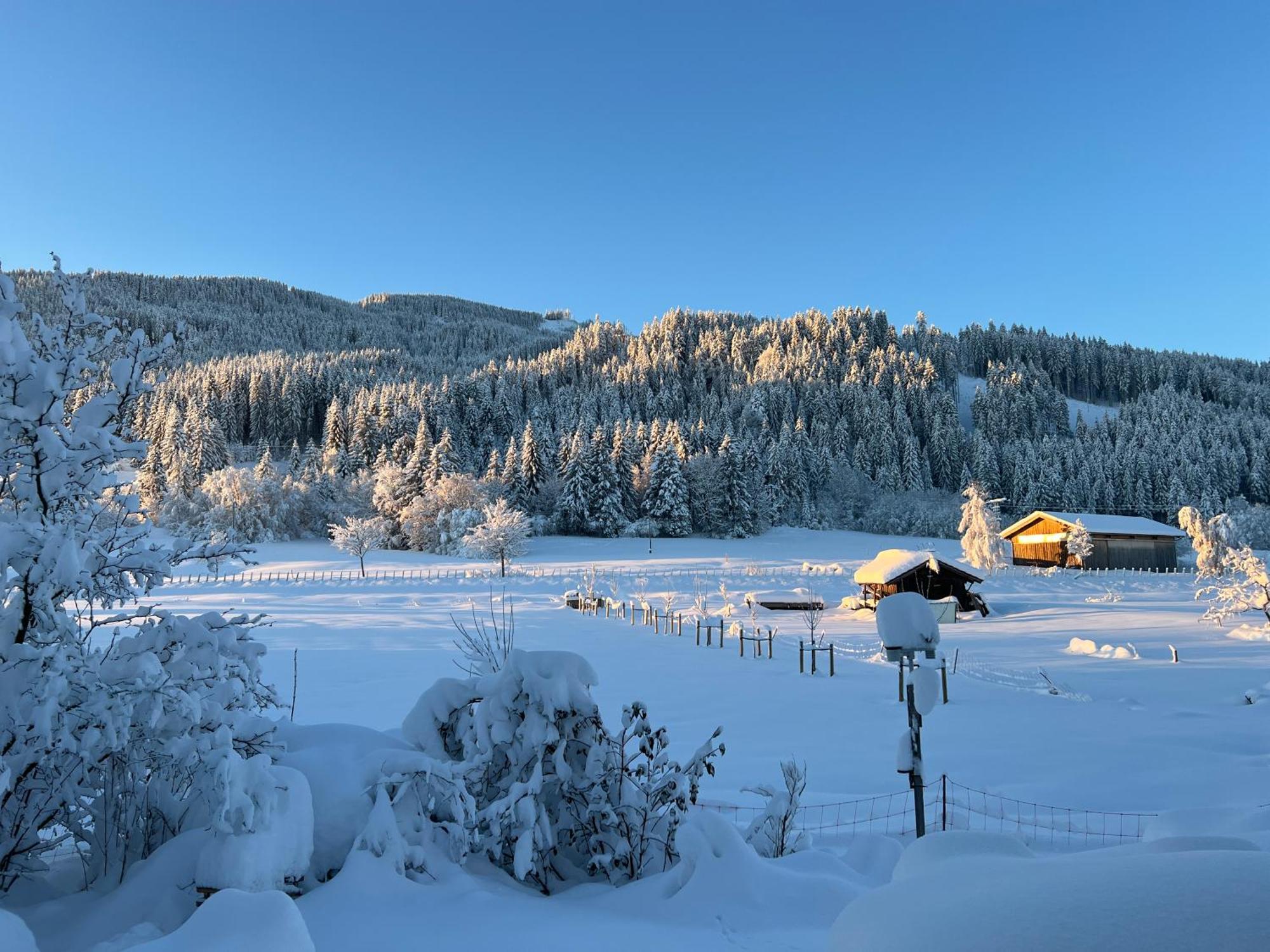 Beim Patzelt - Ferienhaus In Неселванг Екстериор снимка